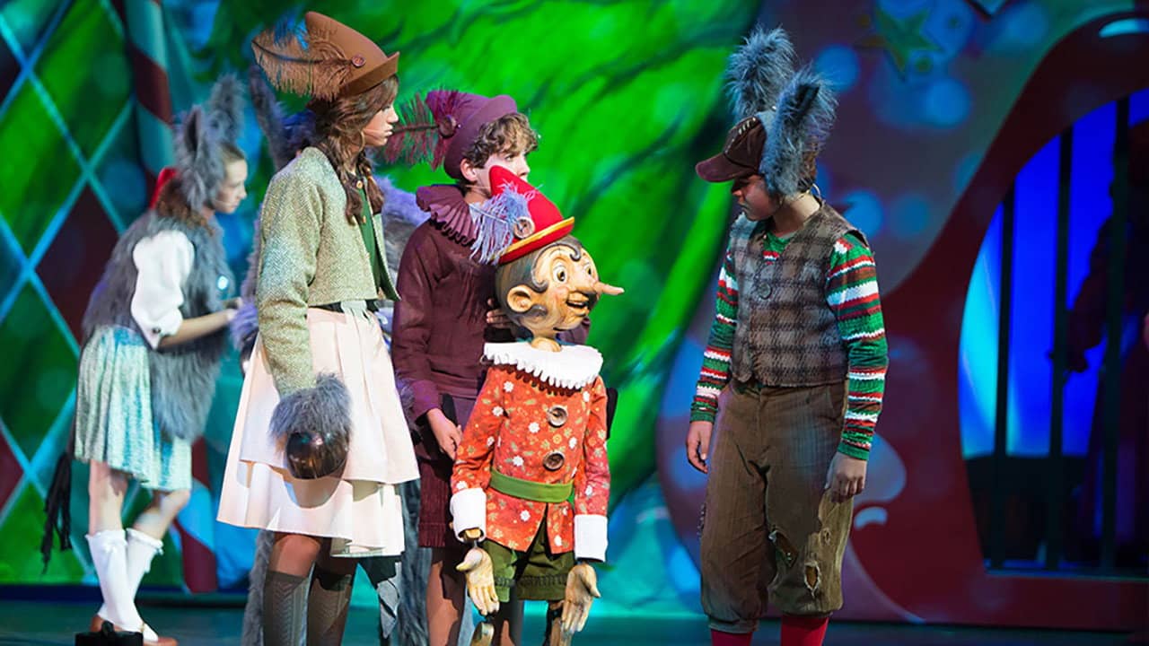 De Sprookjesmusical - Pinokkio backdrop