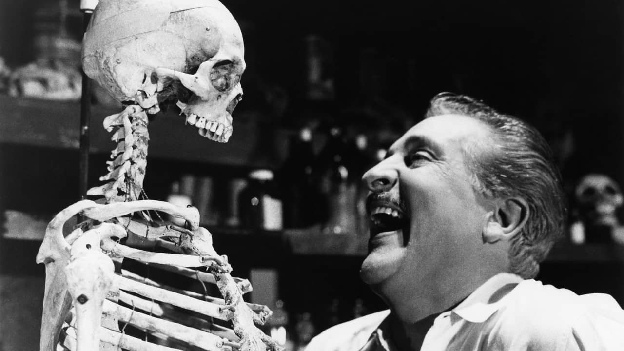 The Skeleton of Mrs. Morales backdrop