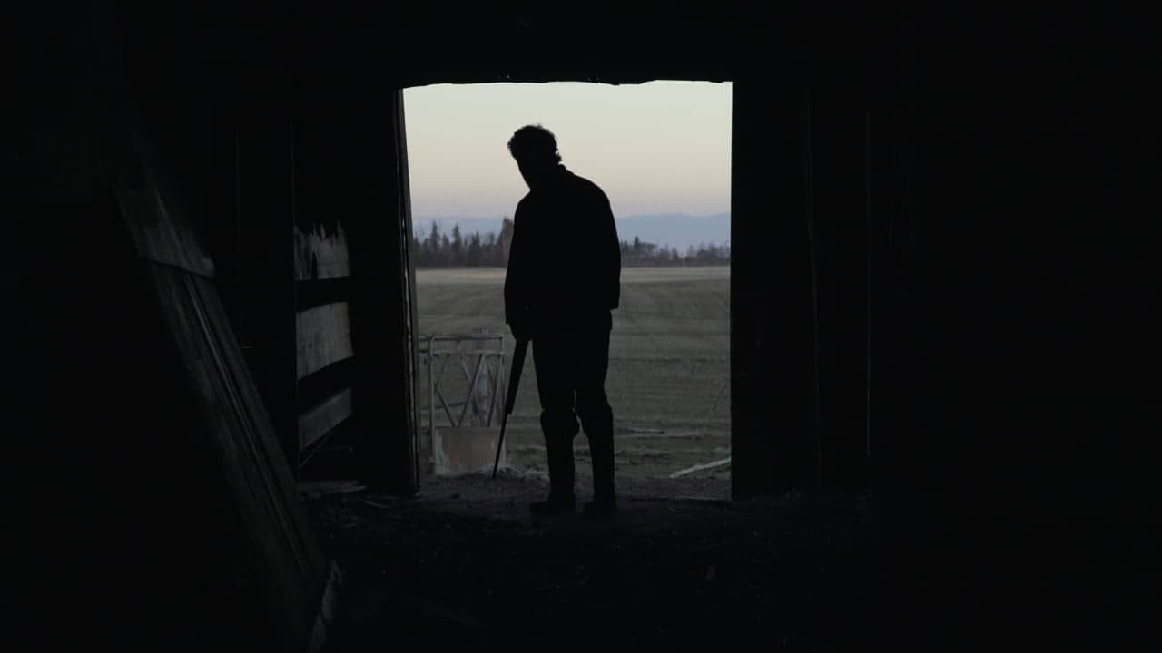 Until First Light backdrop