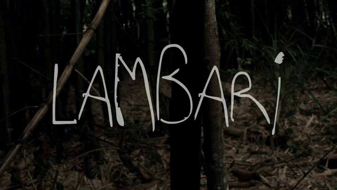 Lambari backdrop