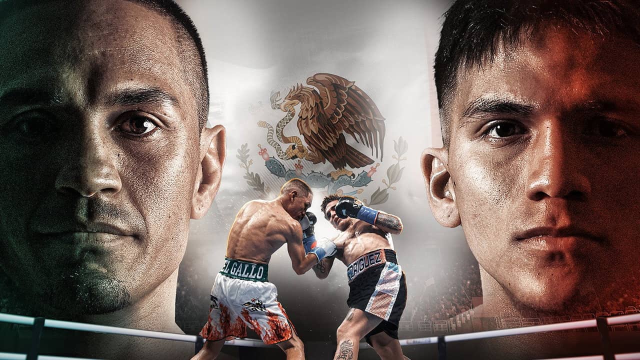 Juan Francisco Estrada vs. Jesse Rodriguez backdrop