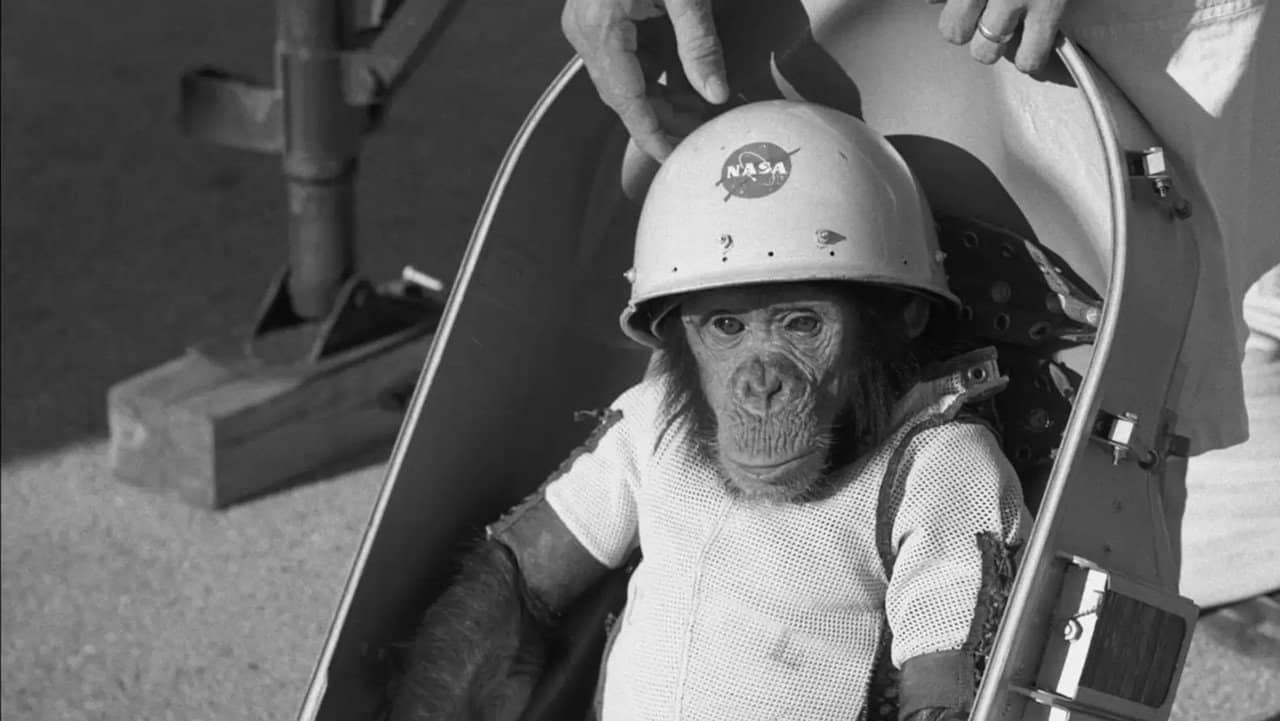 One Small Step: The Story of the Space Chimps backdrop