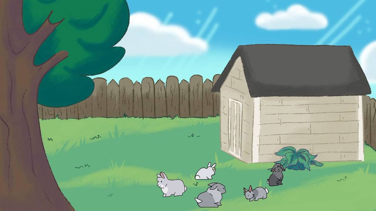 Rabbits Under the Shed backdrop