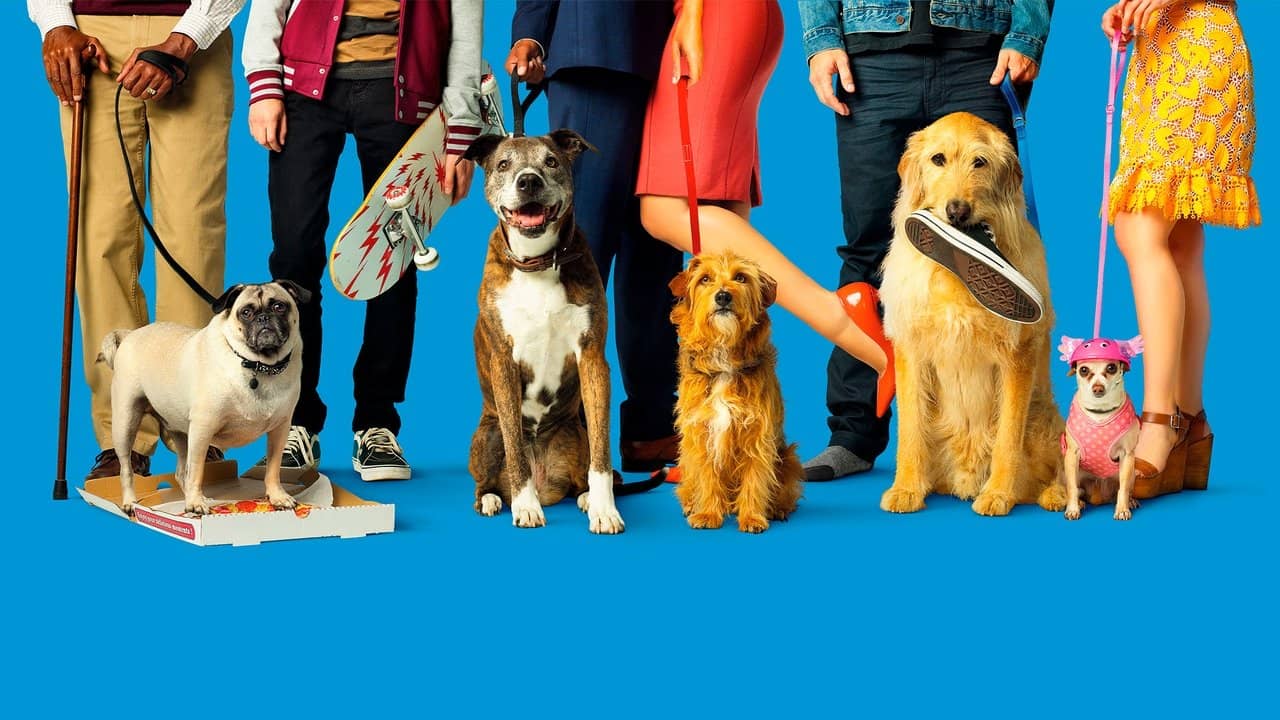 Dog Days backdrop