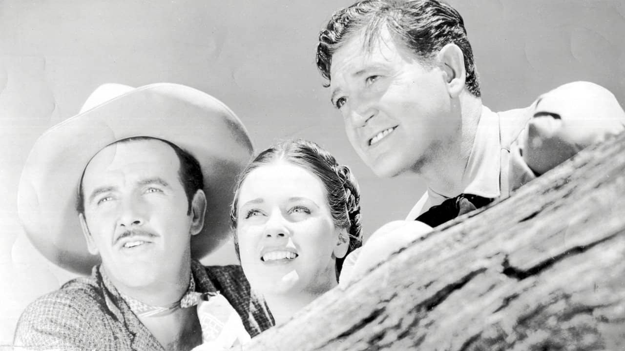 The Roundup backdrop