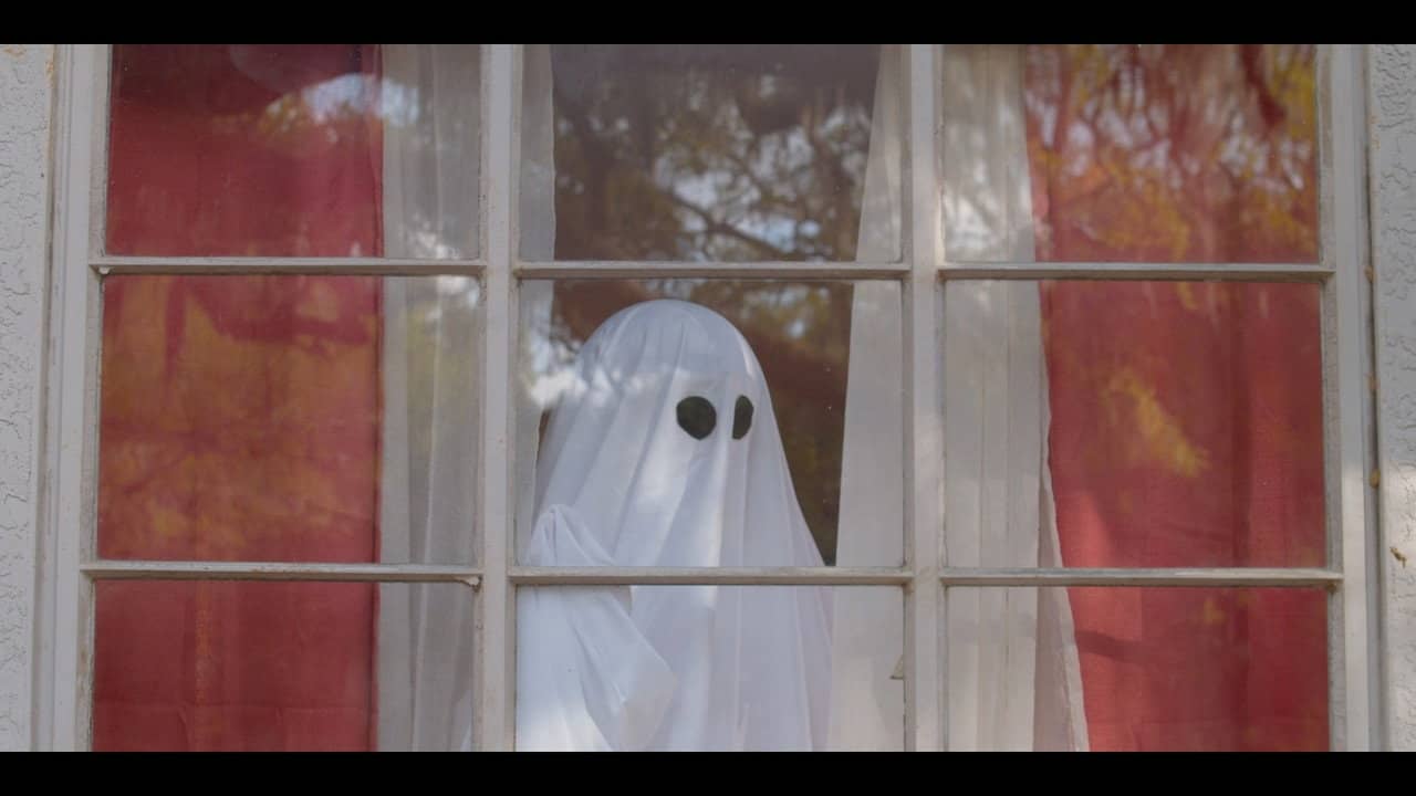 gHost backdrop