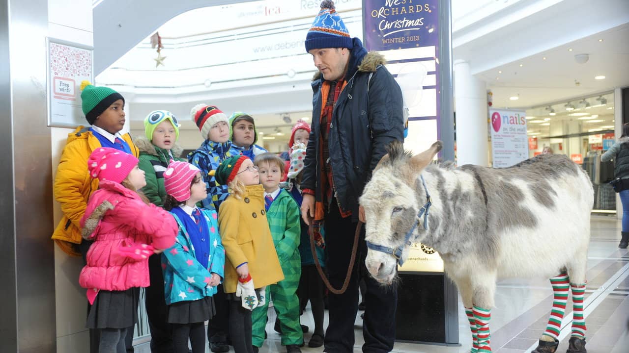 Nativity 3: Dude, Where's My Donkey?! backdrop
