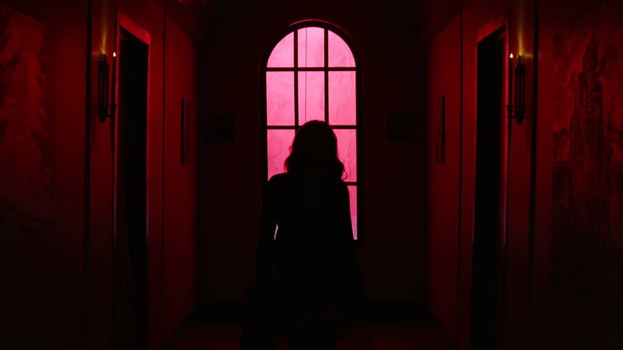 EVACATION backdrop