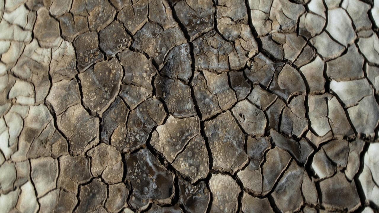 What Does the Mud Whisper? backdrop