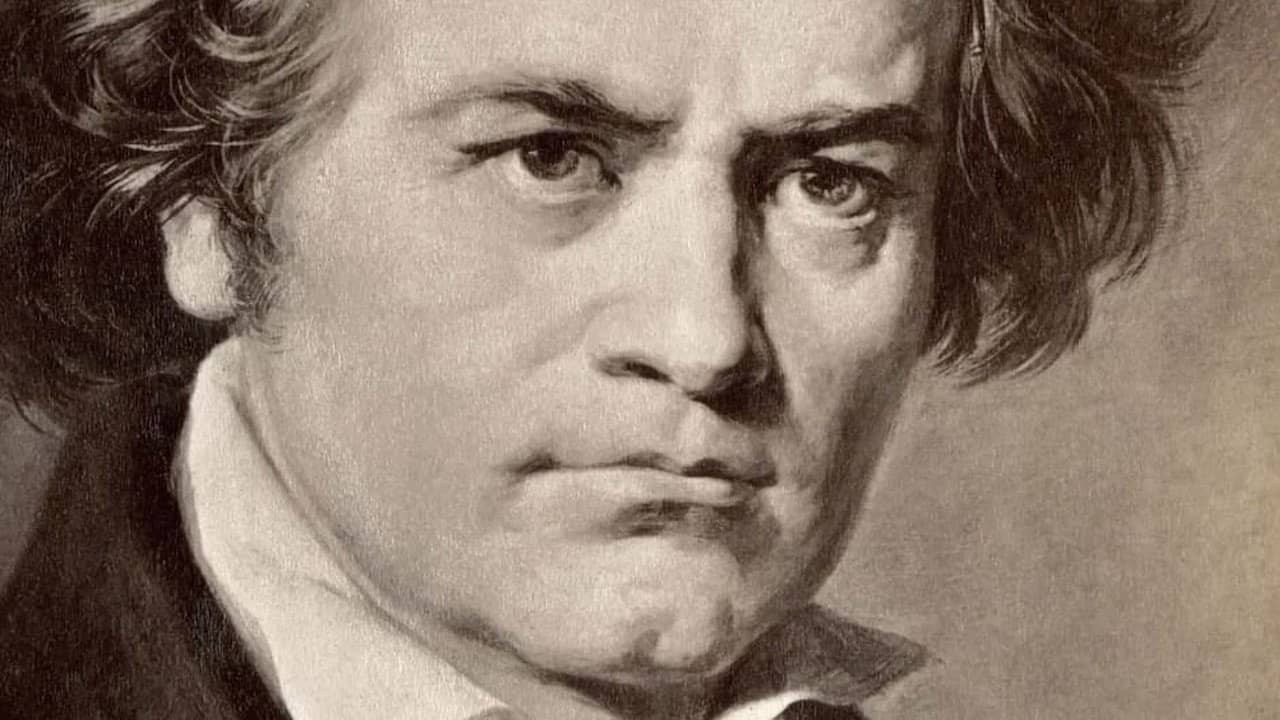 Beethoven privat backdrop
