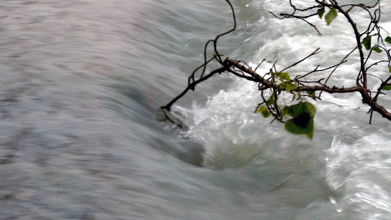 Il Fiume, A Ritroso backdrop