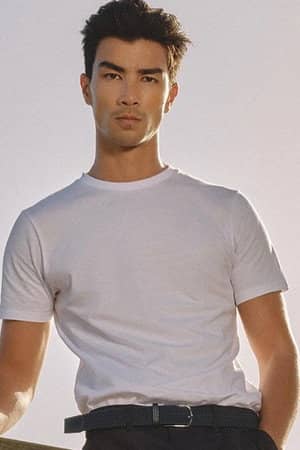 Nasr Ho-Yee