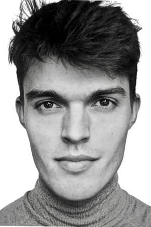 Laurens Raveel