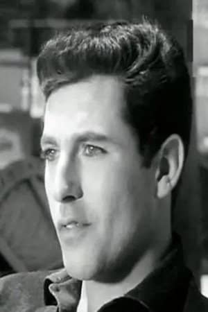 Amr El Torgoman