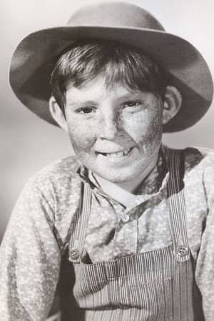 Stephen Wootton