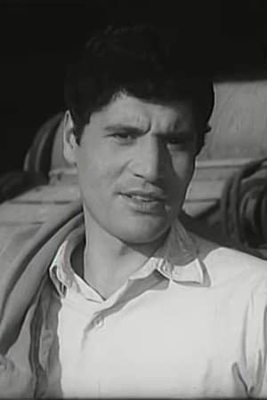 Pandi Siku