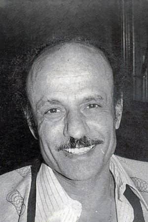 Hossam El Dine Mostafa