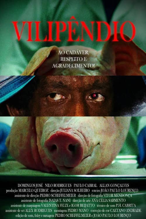 Vilipêndio