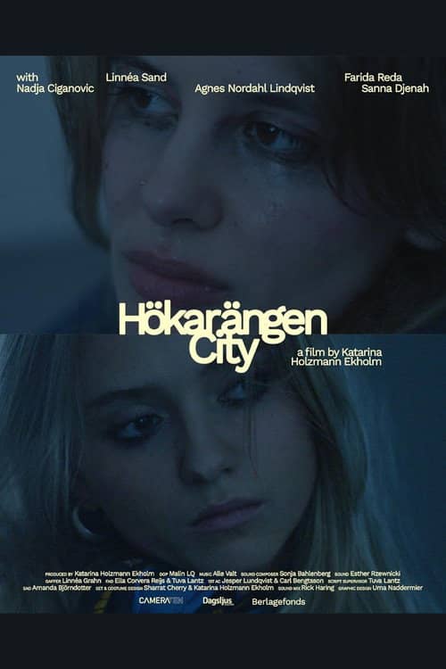 Hökarängen City