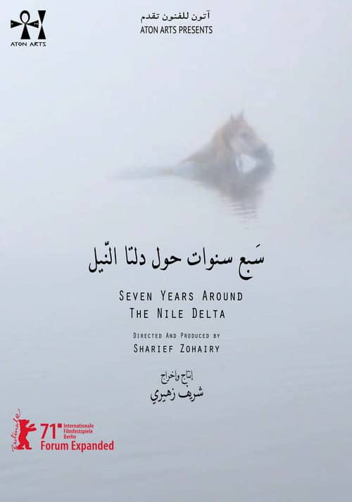 Seven Years Around the Nile Delta
