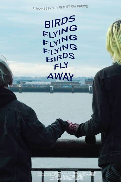 Birds Flying Flying Flying Birds Fly Away