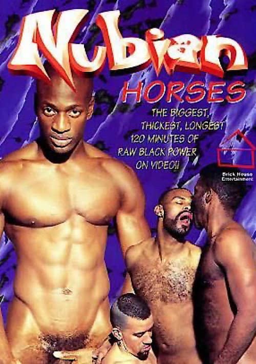Nubian Horses
