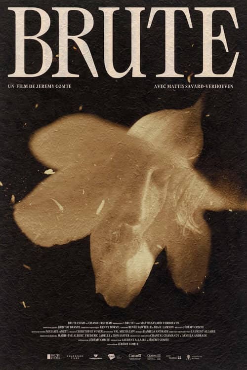 Brute