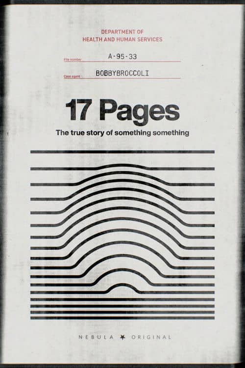 17 Pages