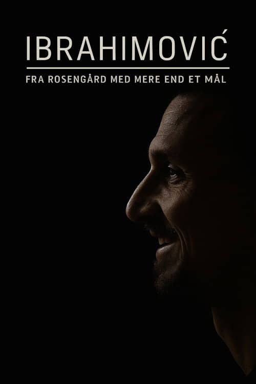 Ibrahimovic - Från Rosengård med mer än ett mål