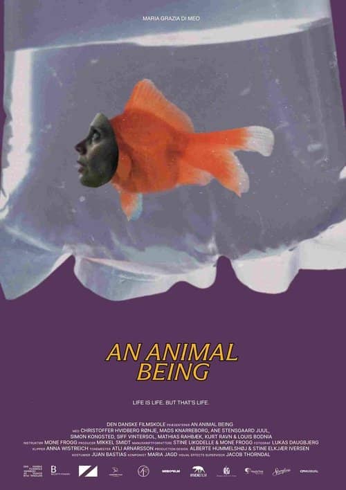 An Animal Being