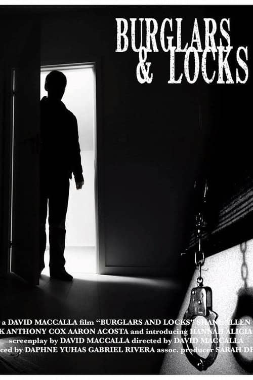 Burglars & Locks