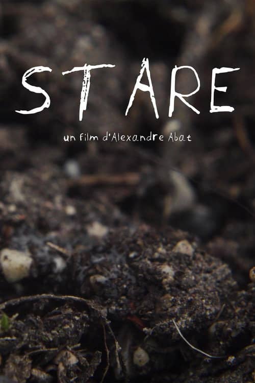 Stare