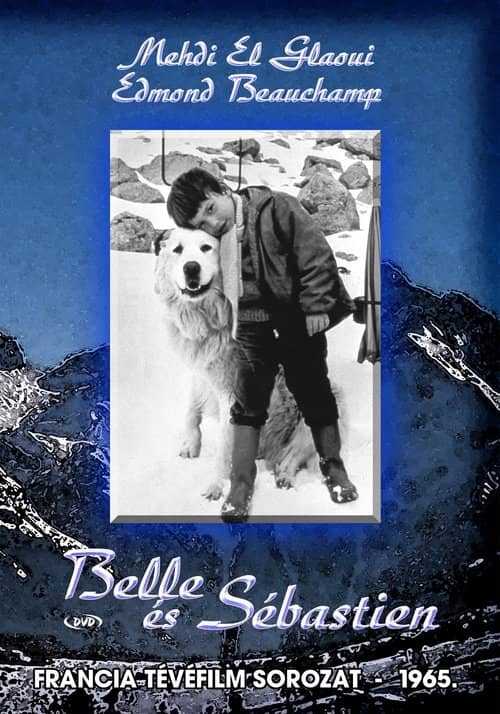 Belle and Sebastian