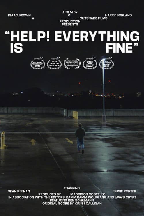 Help! Everything is Fine