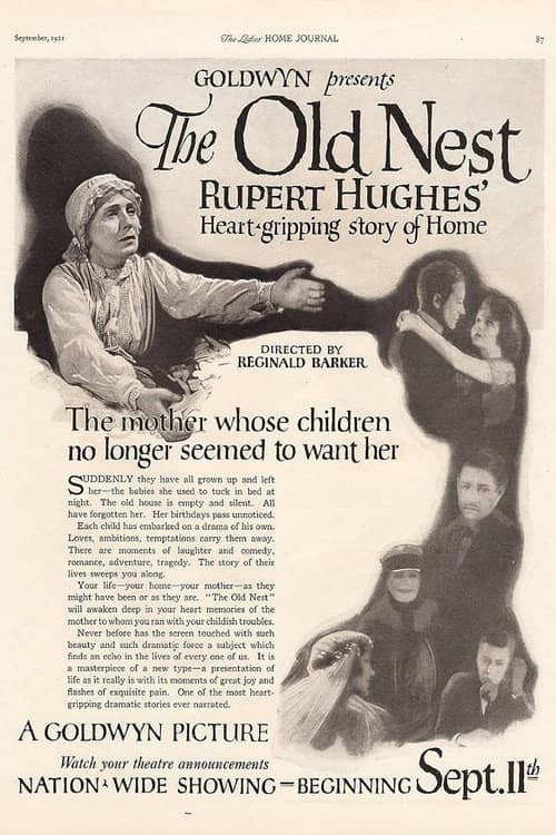 The Old Nest
