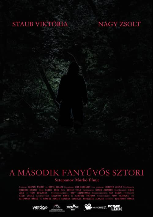 Sasquatch Story No.2