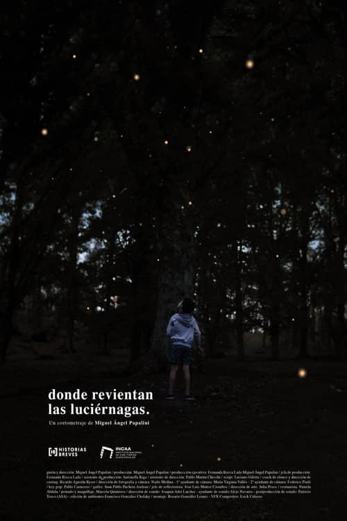 Where the fireflies burst