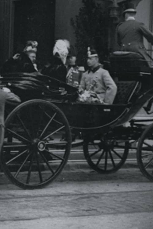 Intocht van hertog Hendrik van Mecklenburg en H.M. de koningin aan het Staatsspoor te 's-Gravenhage