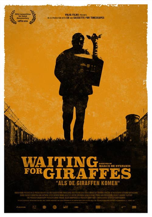 Waiting For Giraffes
