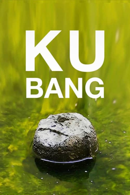Kubang