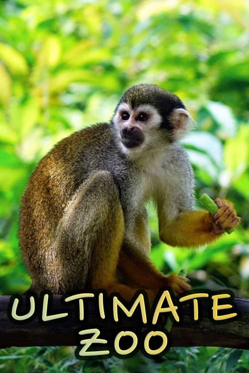 Ultimate Zoo