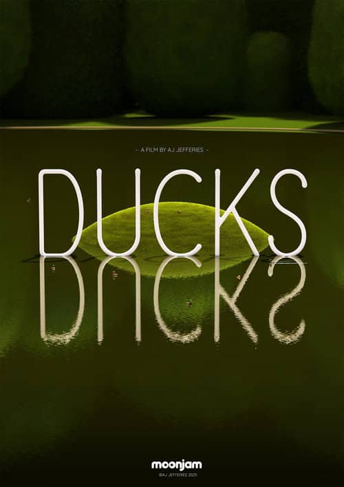 DUCKS