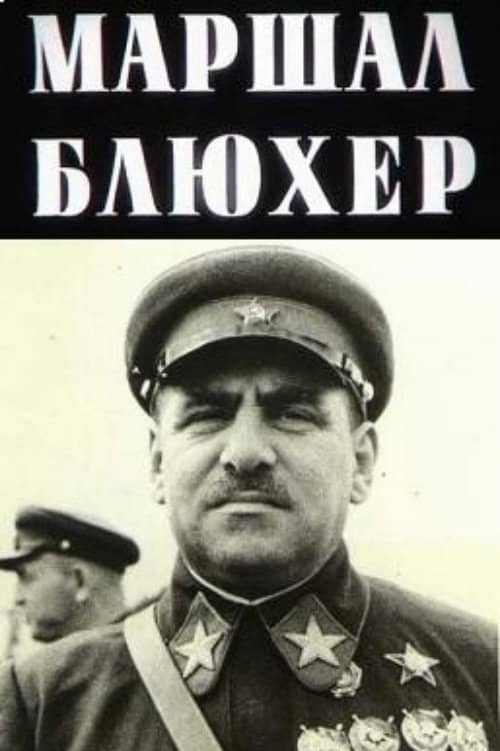 Marshal Blucher: A Portrait Against the Background of an Epoch