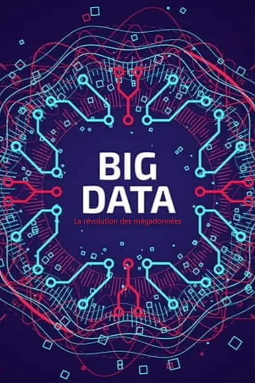 Big Data - La révolution des mégadonnées