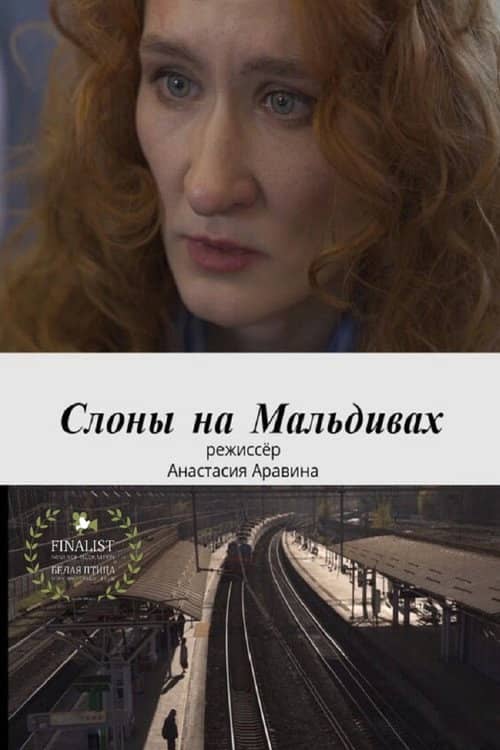 Слоны на Мальдивах