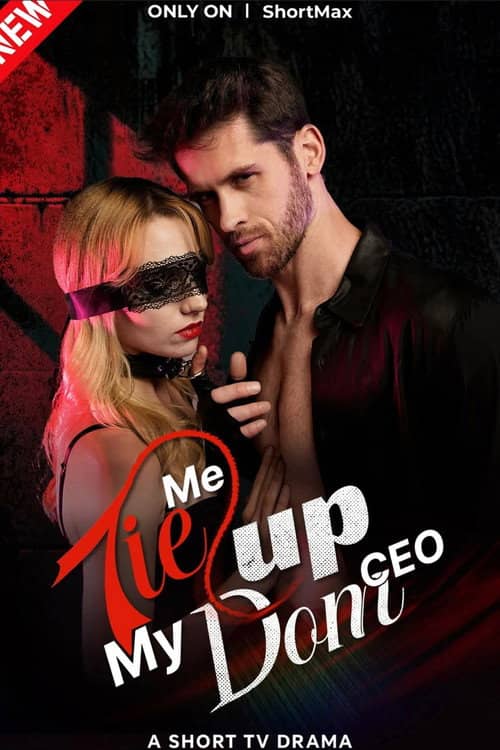 Tie Me Up, My Dom CEO