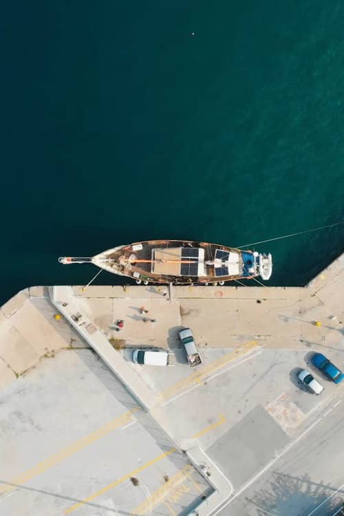 Saving the Hidden Coral of the Mediterranean