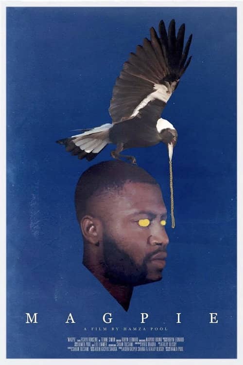 Magpie