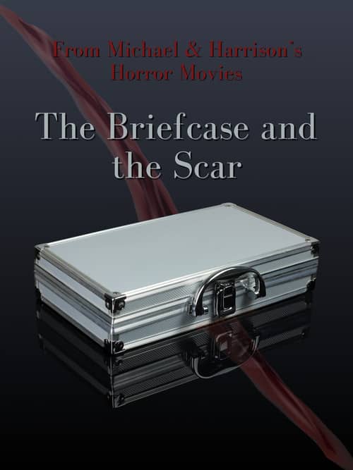 The Briefcase and the Scar