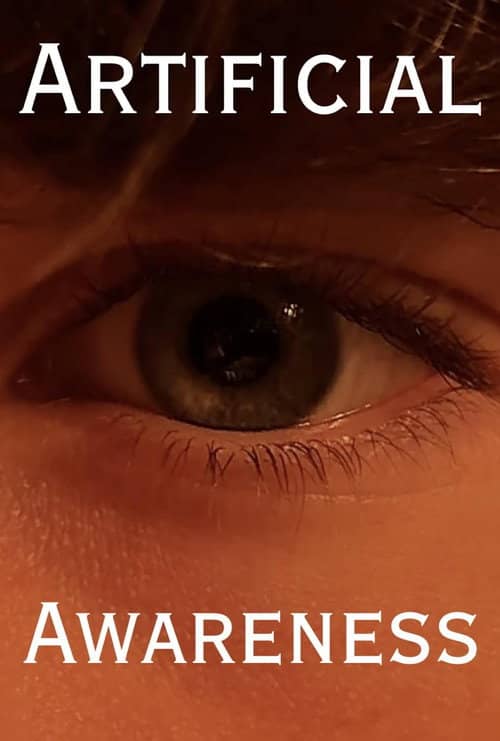 Artificial Awareness
